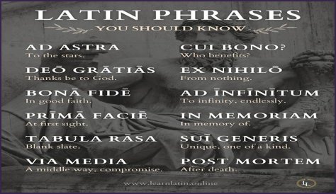 A Profile Of A Latin Beauty